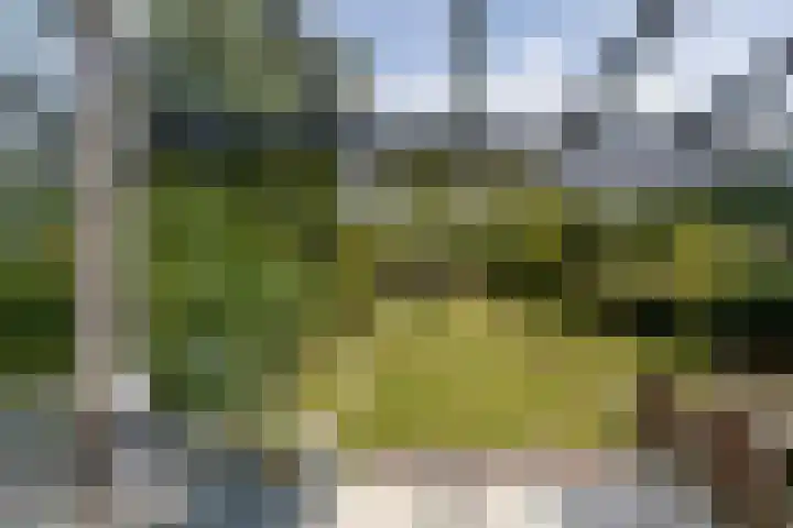 Broekhuizerweg 24 Lottum thumbnail 33