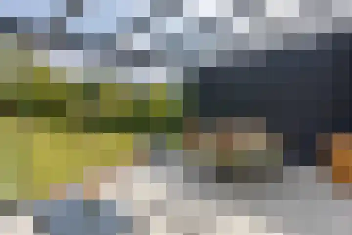 Broekhuizerweg 24 Lottum thumbnail 34
