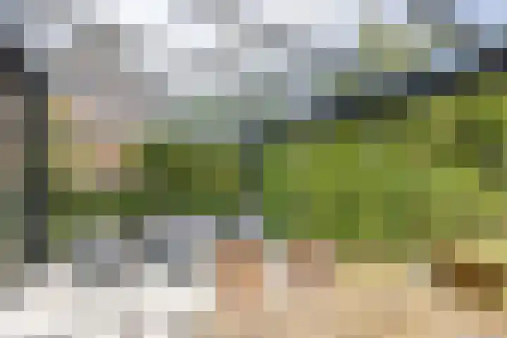 Broekhuizerweg 24 Lottum thumbnail 36