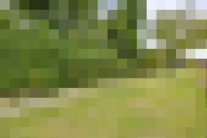Broekhuizerweg 24 Lottum thumbnail 37