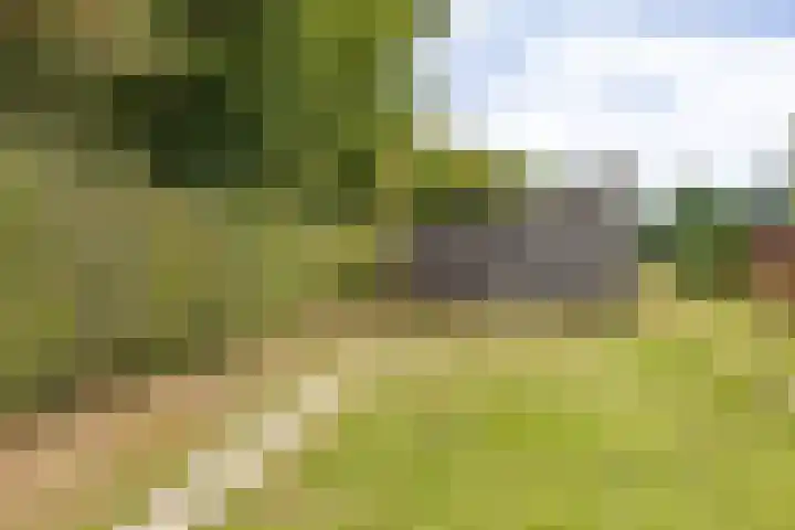 Broekhuizerweg 24 Lottum thumbnail 39