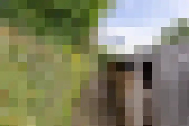Broekhuizerweg 24 Lottum thumbnail 41