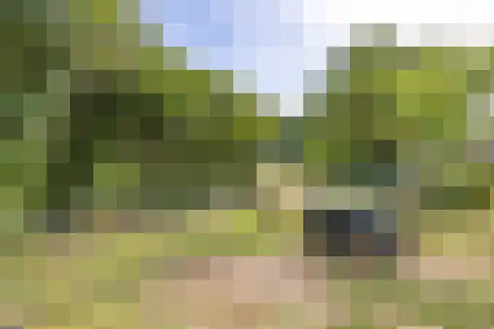 Broekhuizerweg 24 Lottum thumbnail 42