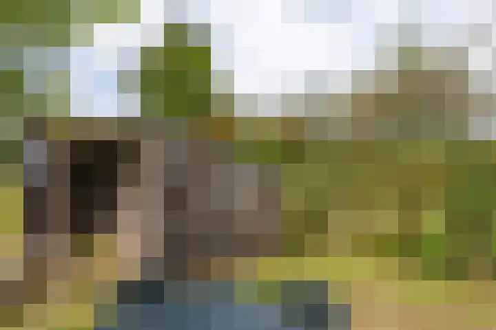 Broekhuizerweg 24 Lottum thumbnail 43