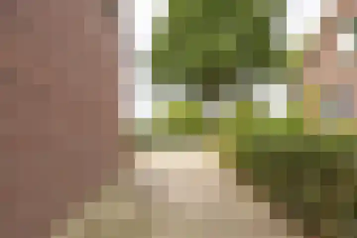 Broekhuizerweg 24 Lottum thumbnail 45