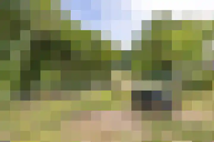 Broekhuizerweg 24 Lottum thumbnail 5