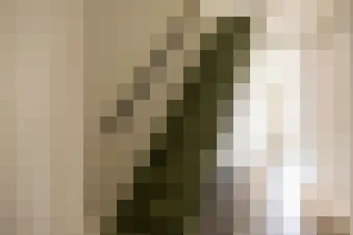 Broekhuizerweg 24 Lottum thumbnail 7