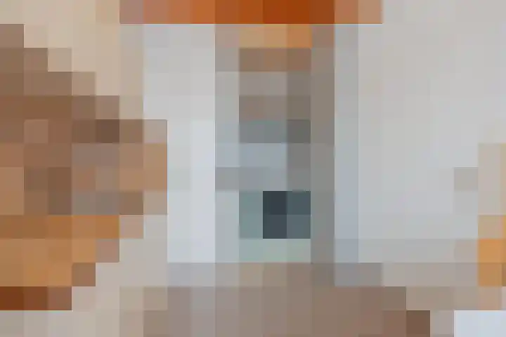 Broekhuizerweg 24 Swolgen thumbnail 12