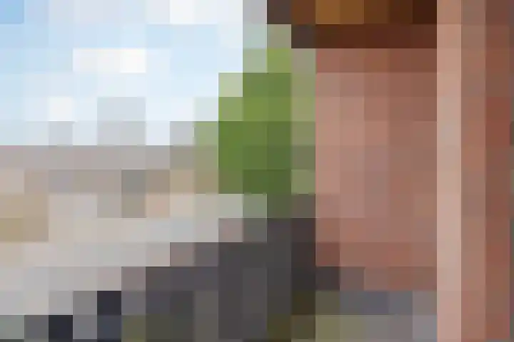 Broekhuizerweg 24 Swolgen thumbnail 18