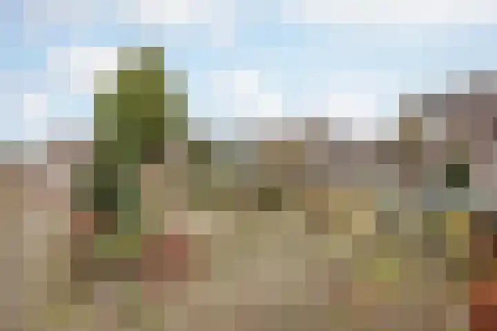 Broekhuizerweg 24 Swolgen thumbnail 29