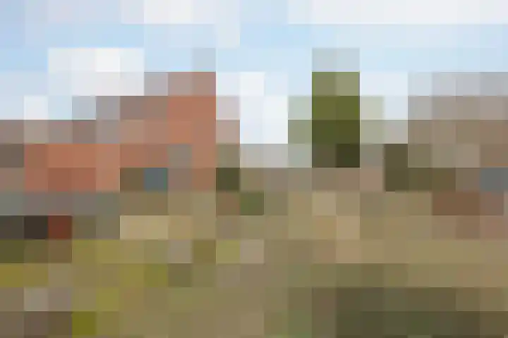 Broekhuizerweg 24 Swolgen thumbnail 30