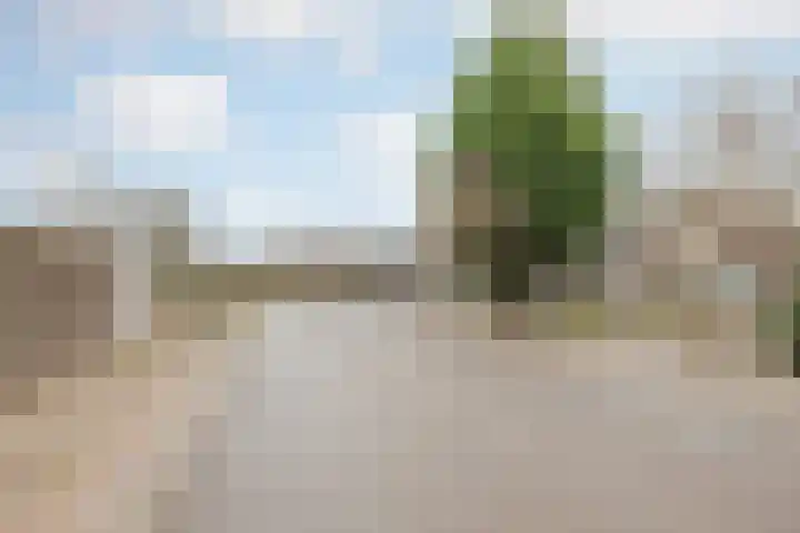 Broekhuizerweg 24 Swolgen thumbnail 32