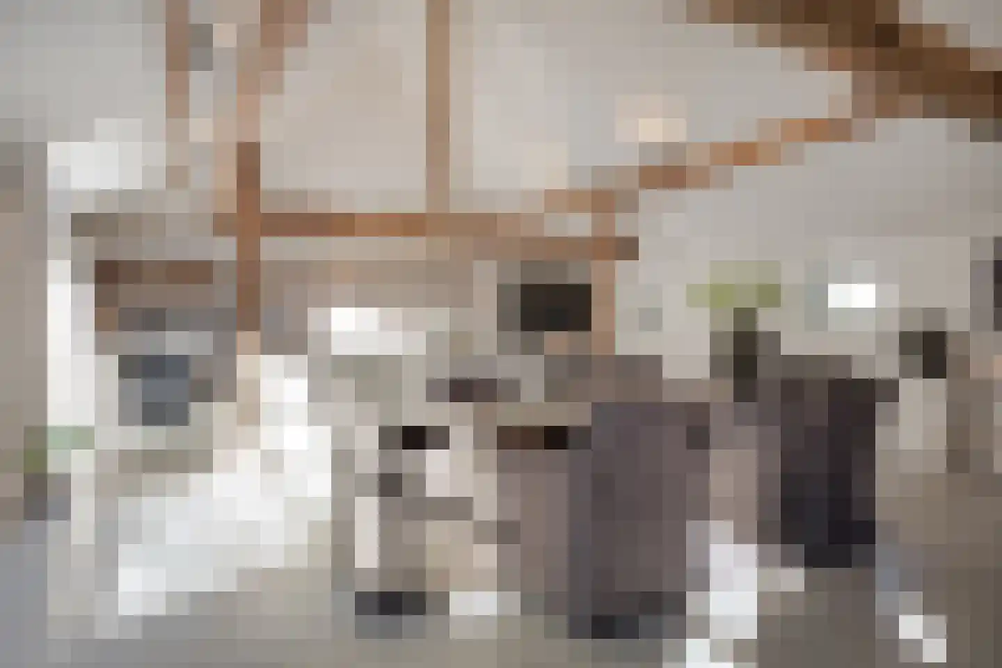 Broekkant 16 Lierop thumbnail 14