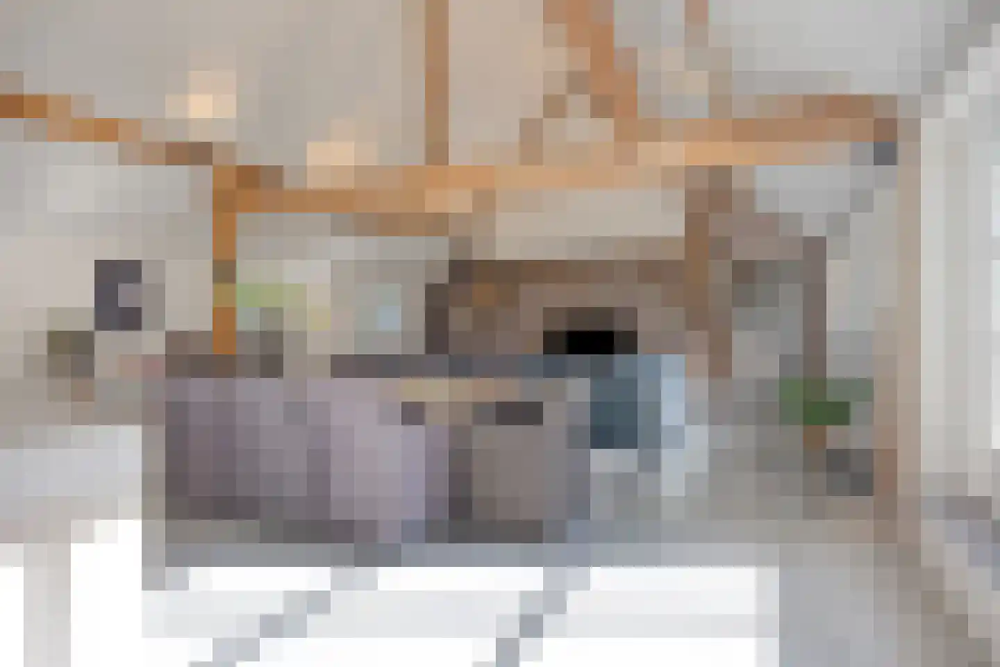 Broekkant 16 Lierop thumbnail 16