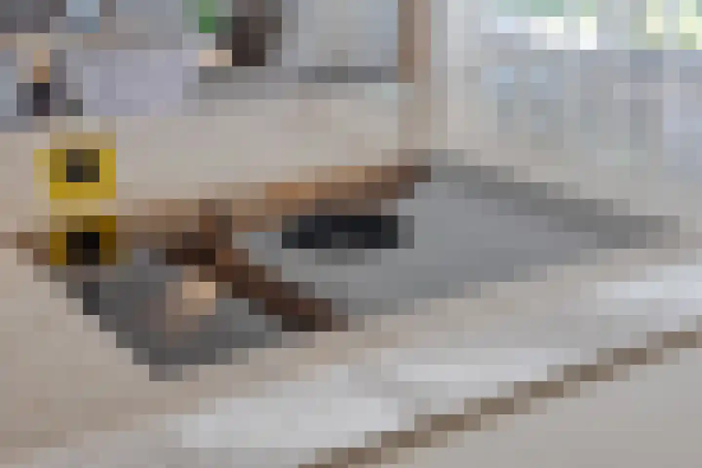 Broekkant 16 Lierop thumbnail 26