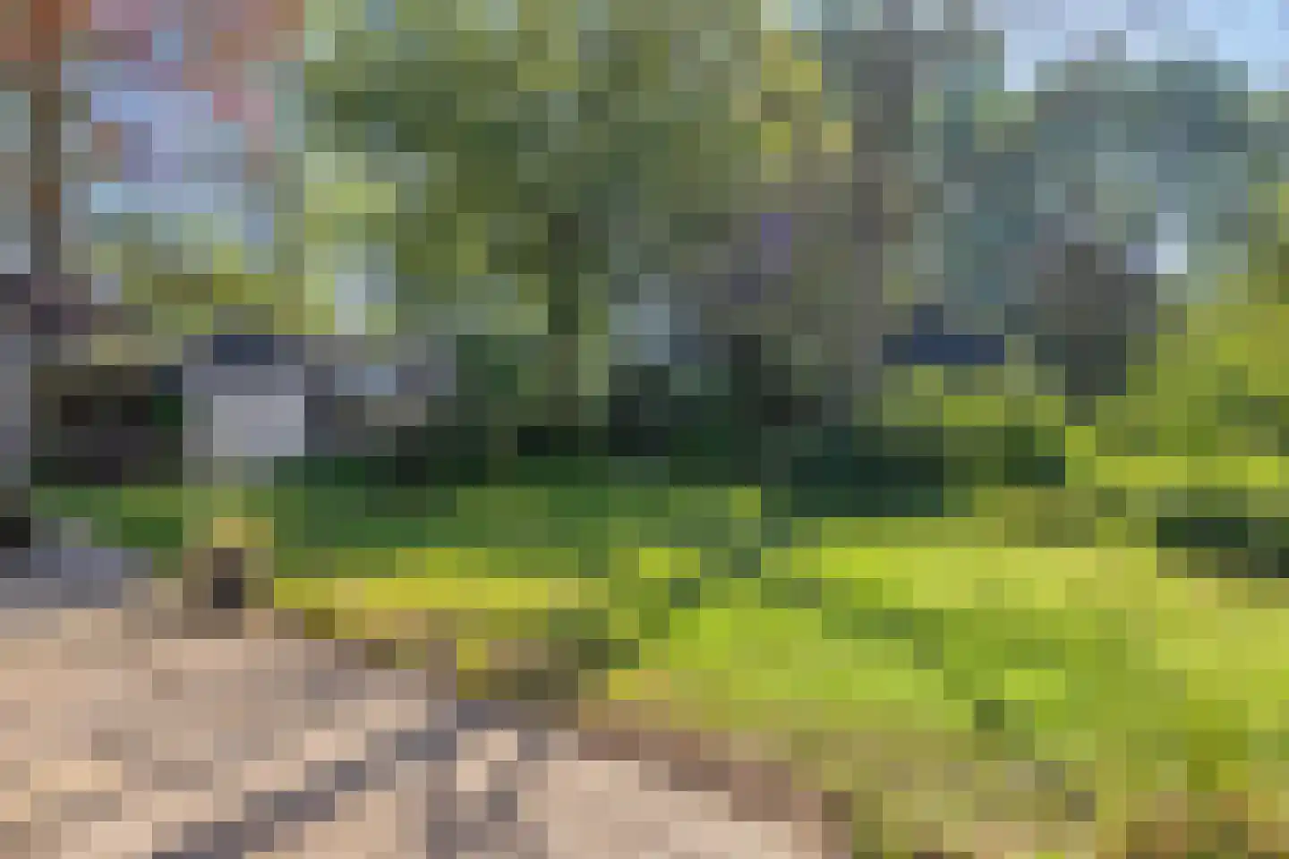 Broekkant 16 Lierop thumbnail 40