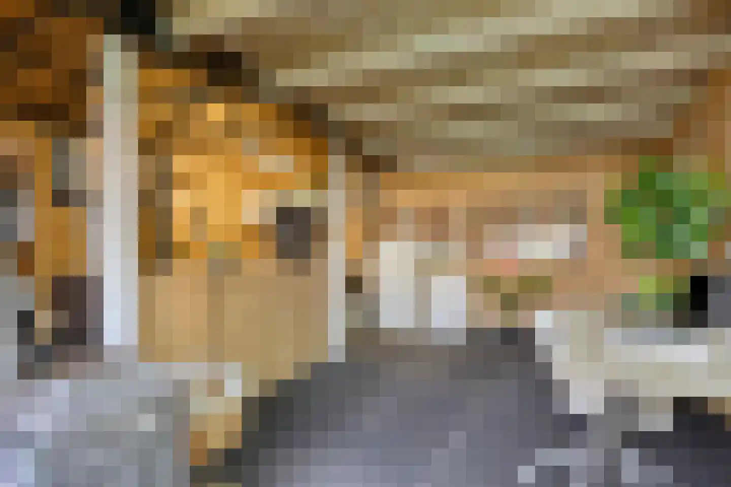 Broekkant 16 Lierop thumbnail 44