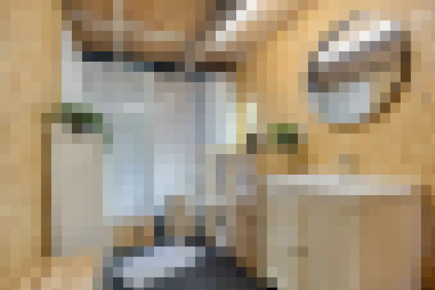 Broekkant 16 Lierop thumbnail 48