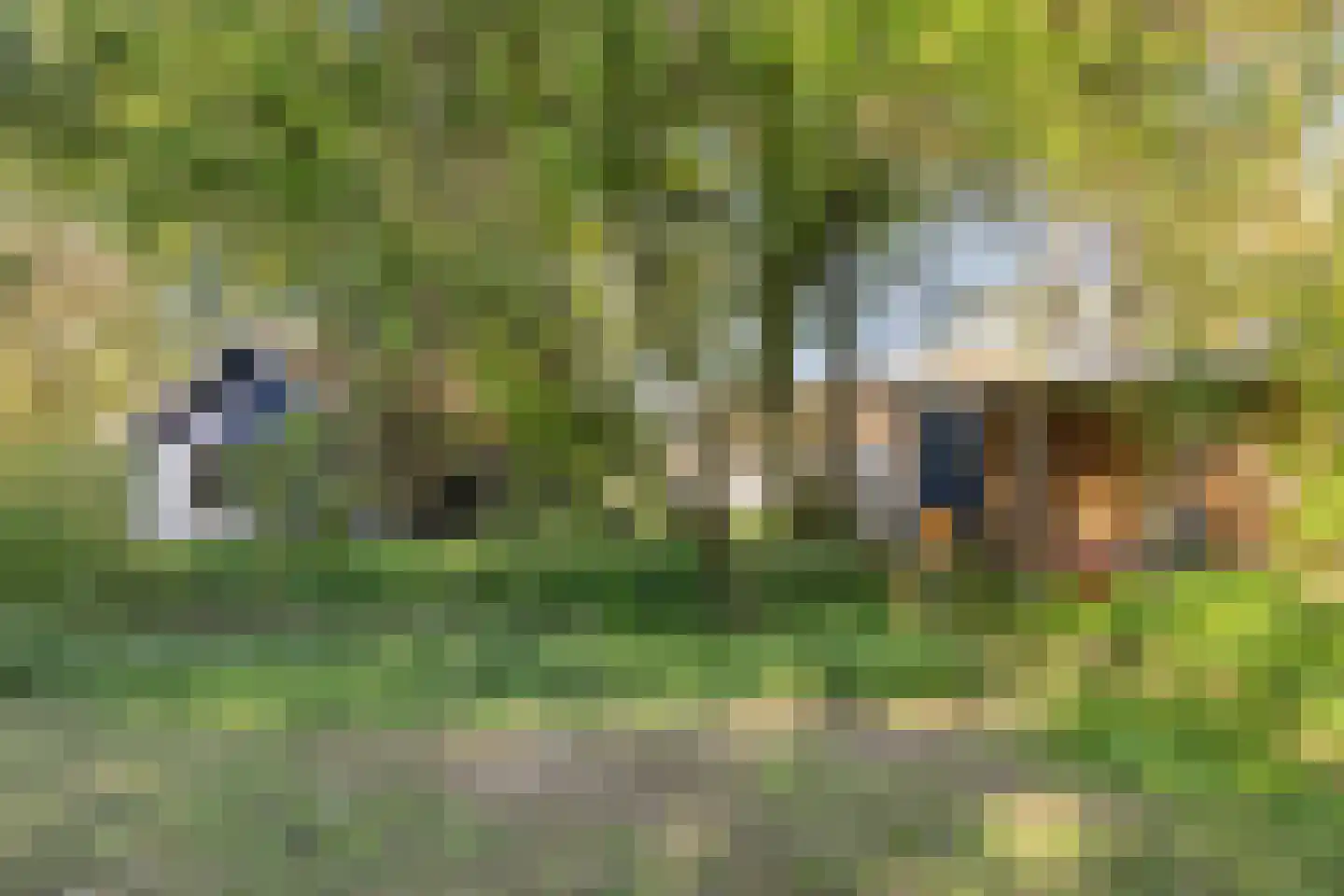 Broekkant 16 Lierop thumbnail 50