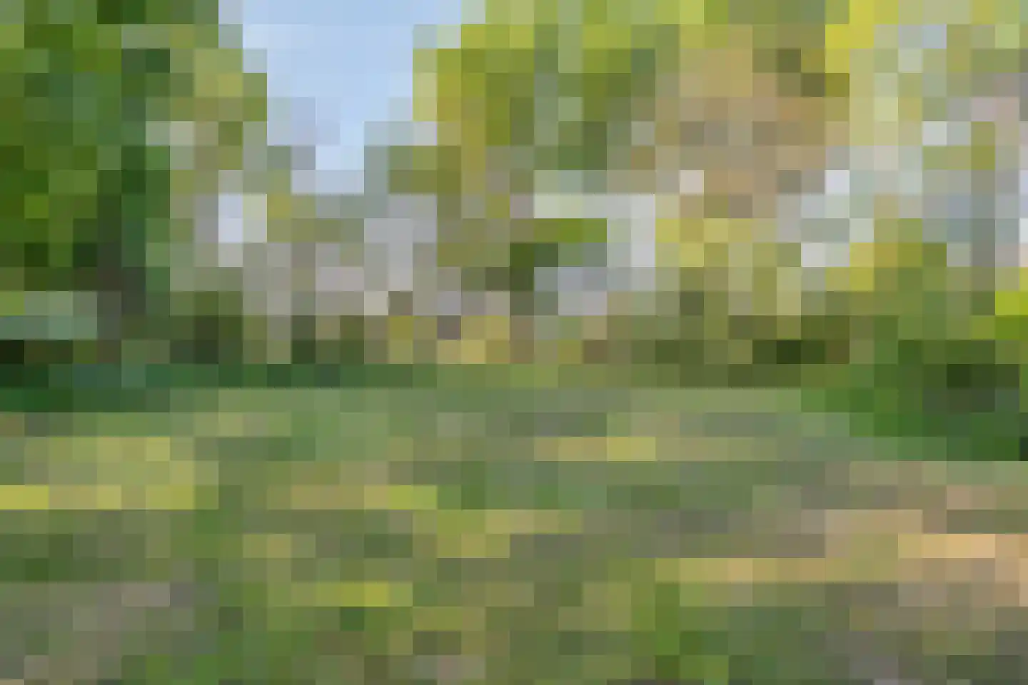 Broekkant 16 Lierop thumbnail 51