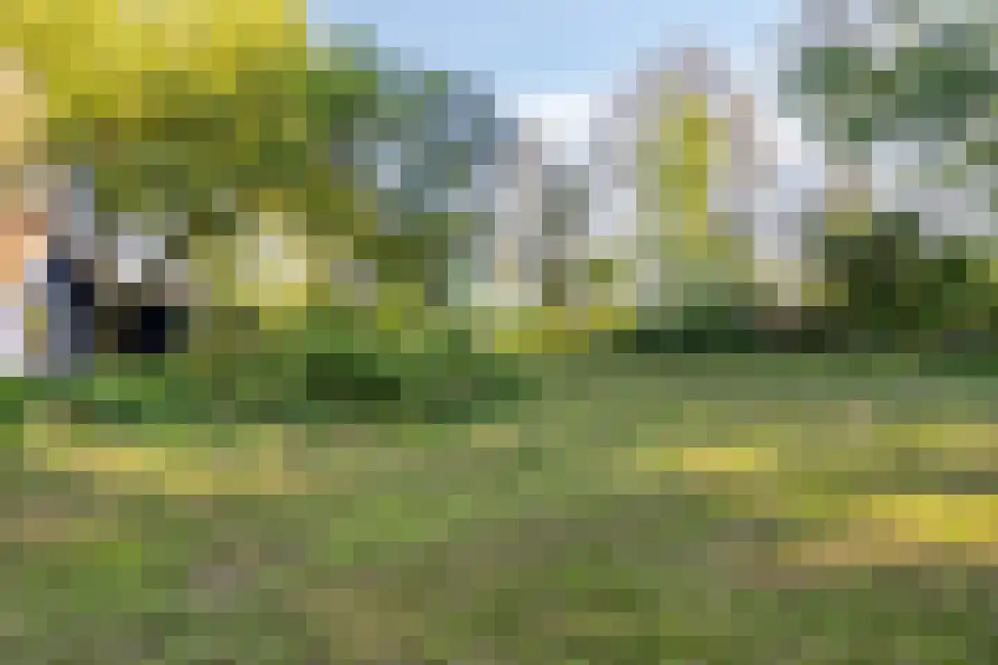 Broekkant 16 Lierop thumbnail 52
