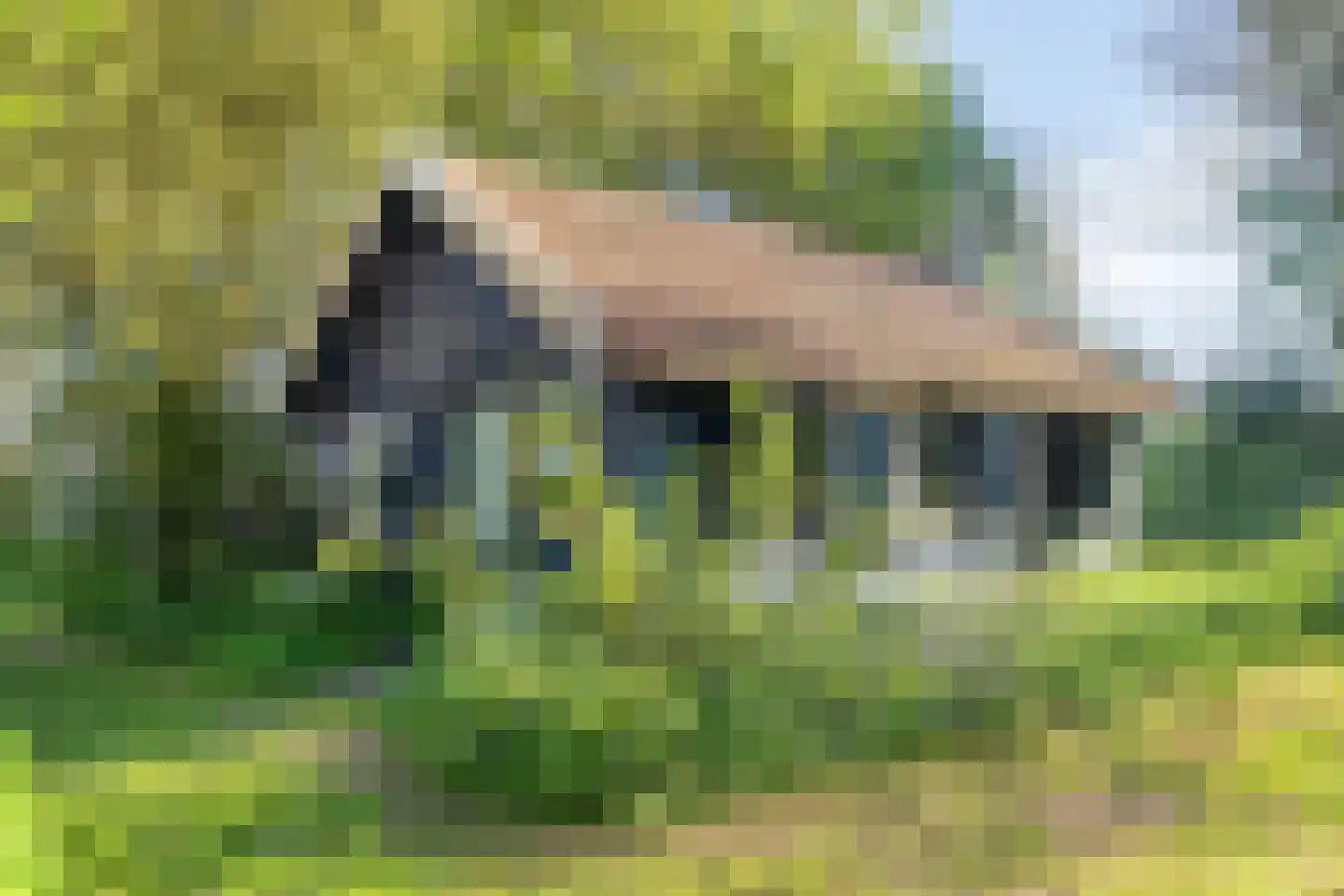 Broekkant 16 Lierop thumbnail 54