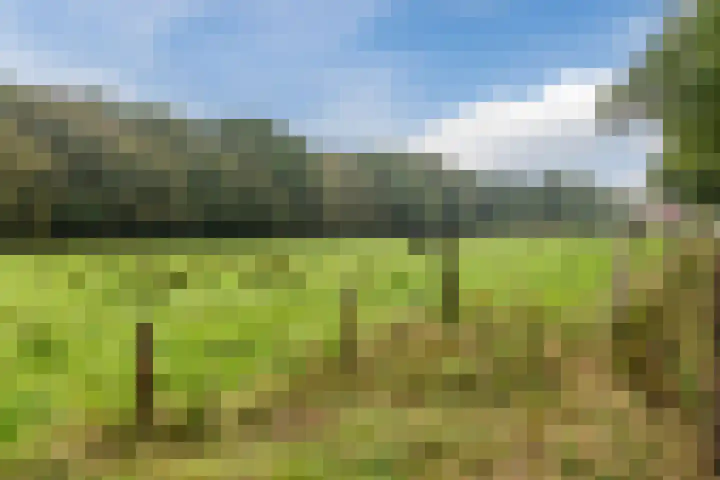 Broeklaan 10 Assen thumbnail 41
