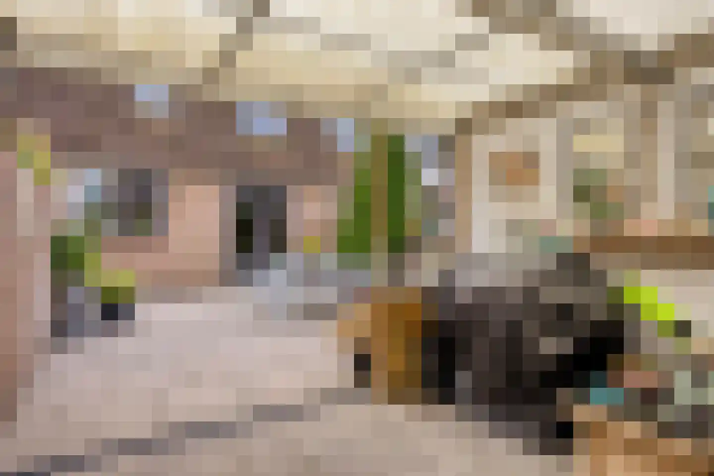Broeklaan 11 Harderwijk thumbnail 39