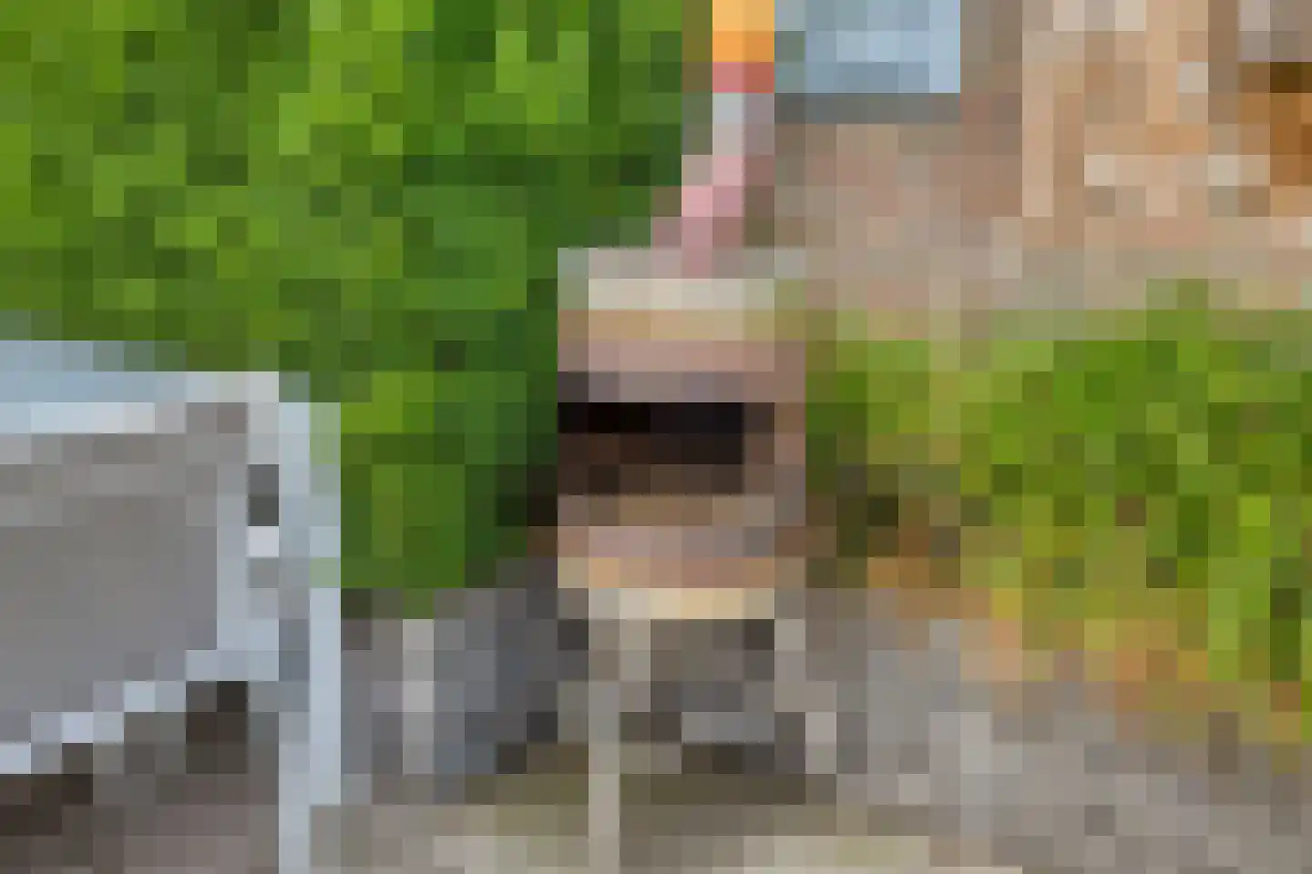 Broeklaan 11 Harderwijk thumbnail 41