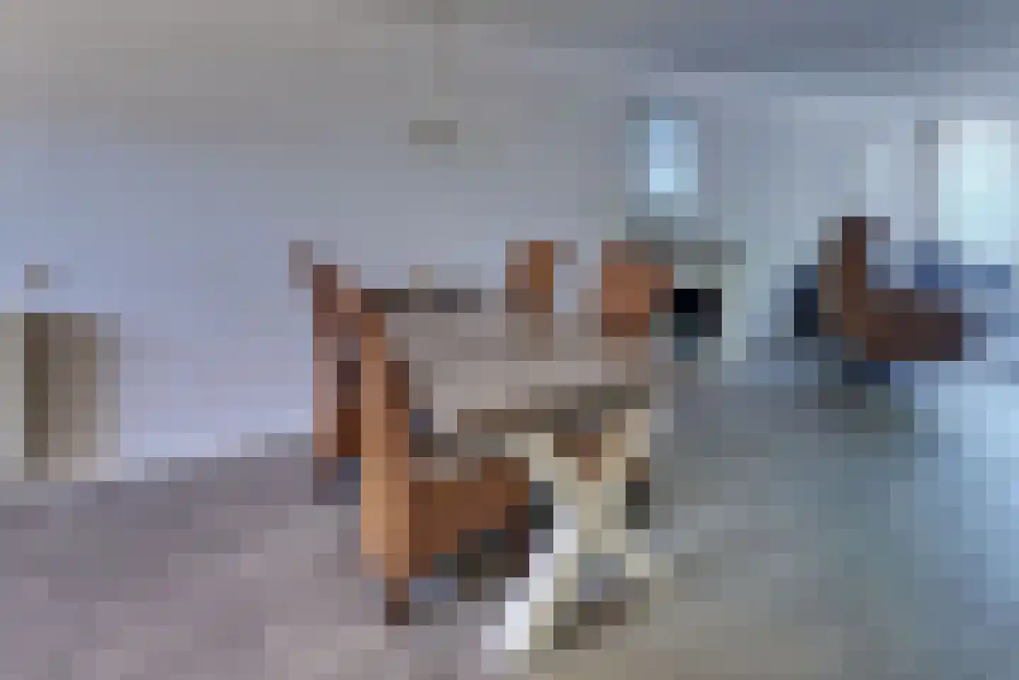 Broeklaan 22 Harderwijk thumbnail 13