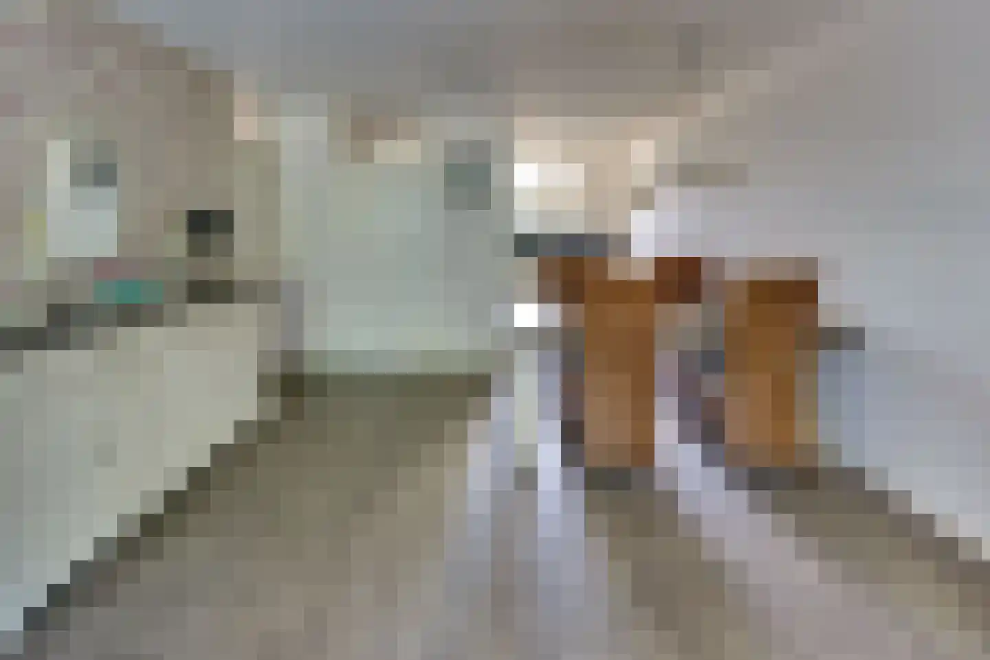 Broeklaan 22 Harderwijk thumbnail 16