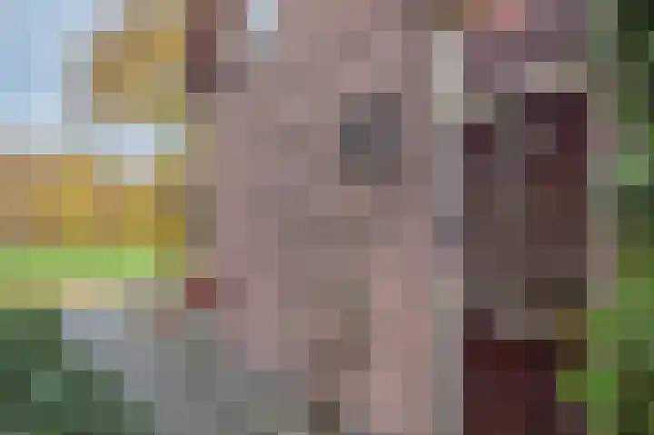 Broeklaan 24 Assen thumbnail 11