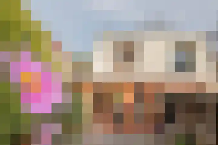 Broeklaan 24 Assen thumbnail 39