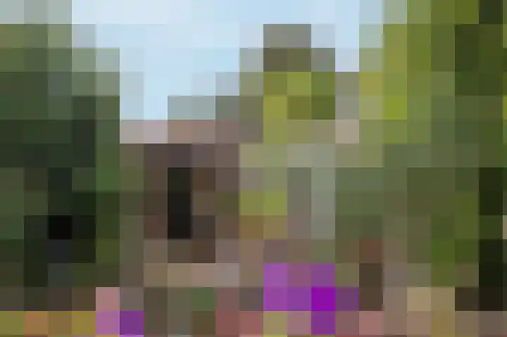 Broeklaan 24 Assen thumbnail 42