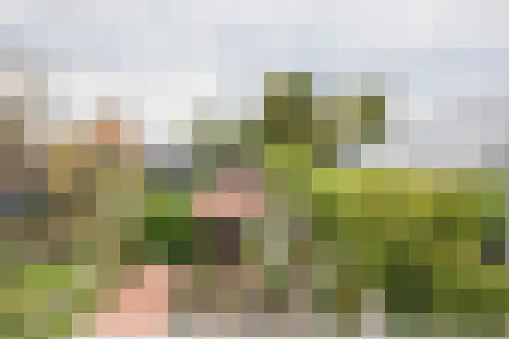 Broeklaan 24 Assen thumbnail 52