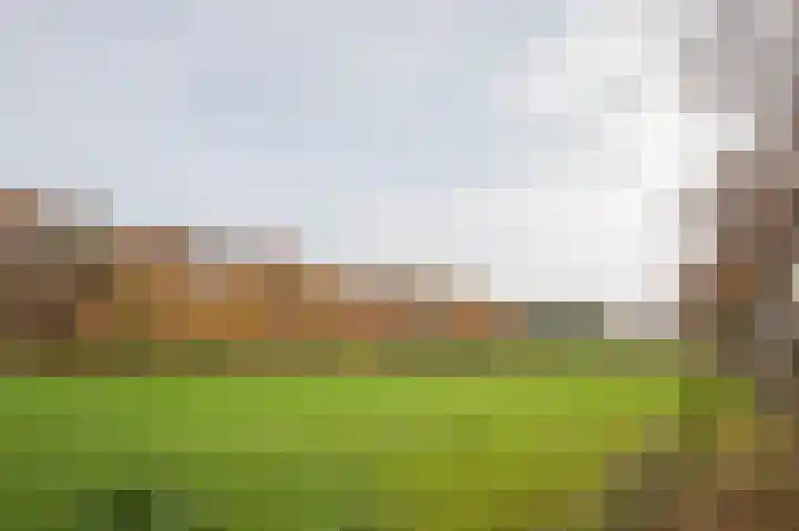 Broeklaan 24 Assen thumbnail 53