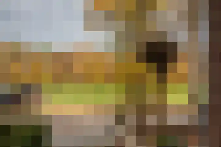 Broeklaan 24 Assen thumbnail 7