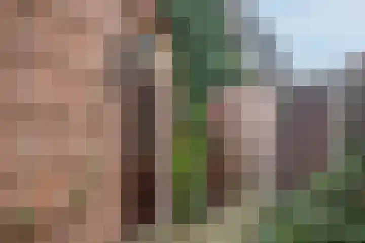 Broeklaan 24 Assen thumbnail 9