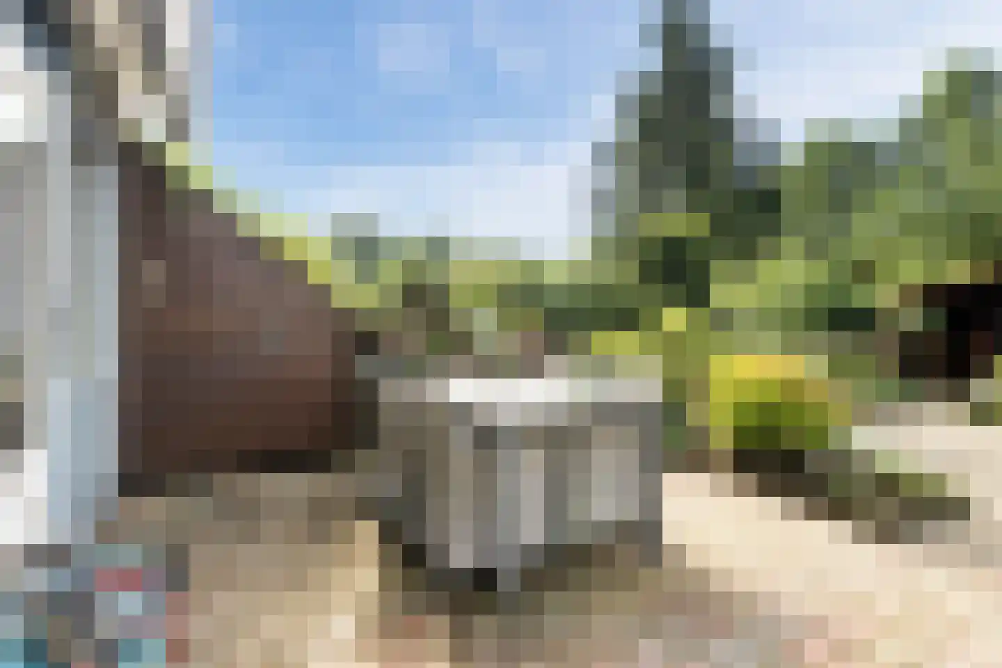 Broeklaan 24 Harderwijk thumbnail 35