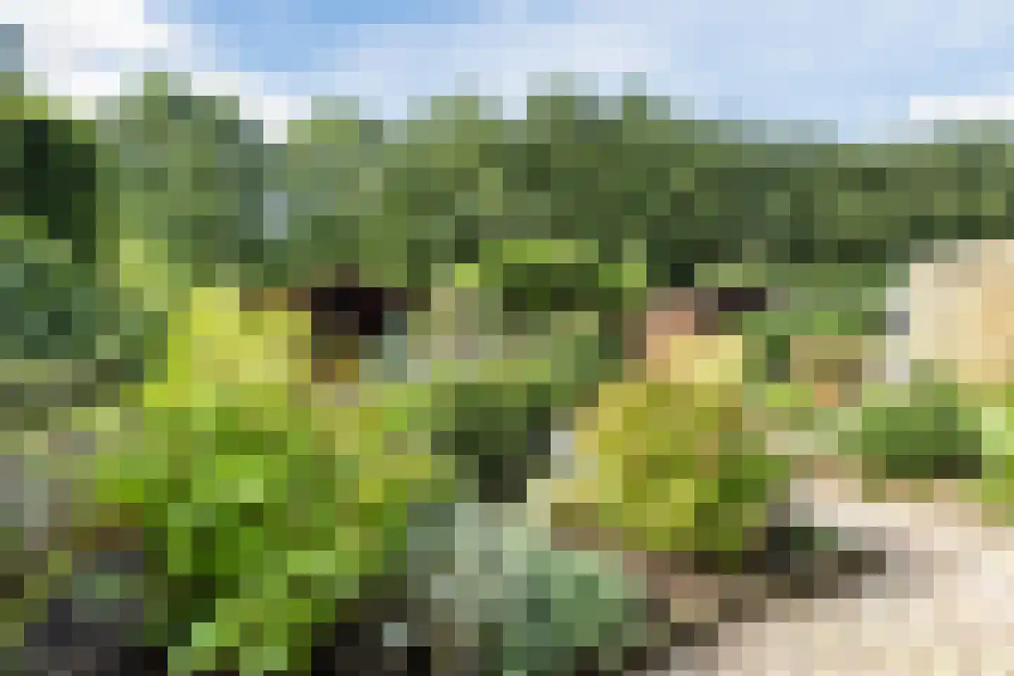 Broeklaan 24 Harderwijk thumbnail 38
