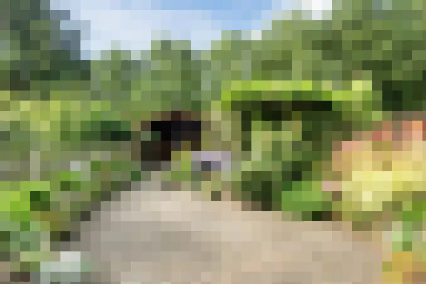 Broeklaan 24 Harderwijk thumbnail 39