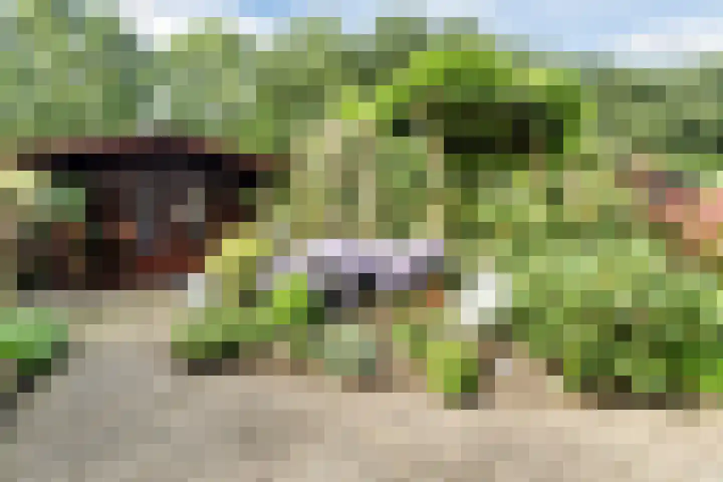 Broeklaan 24 Harderwijk thumbnail 40