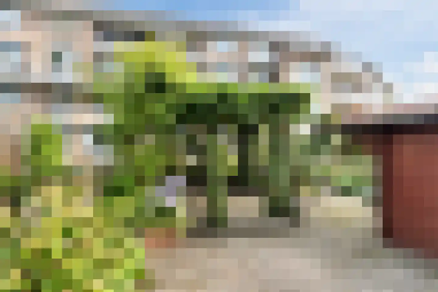 Broeklaan 24 Harderwijk thumbnail 45