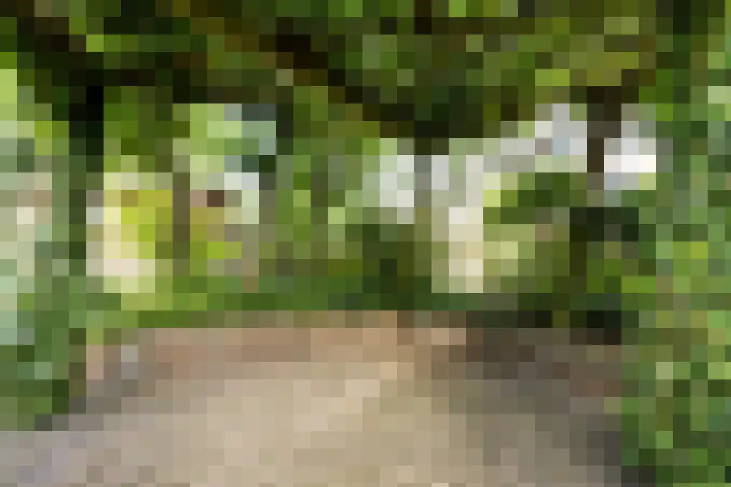Broeklaan 24 Harderwijk thumbnail 46