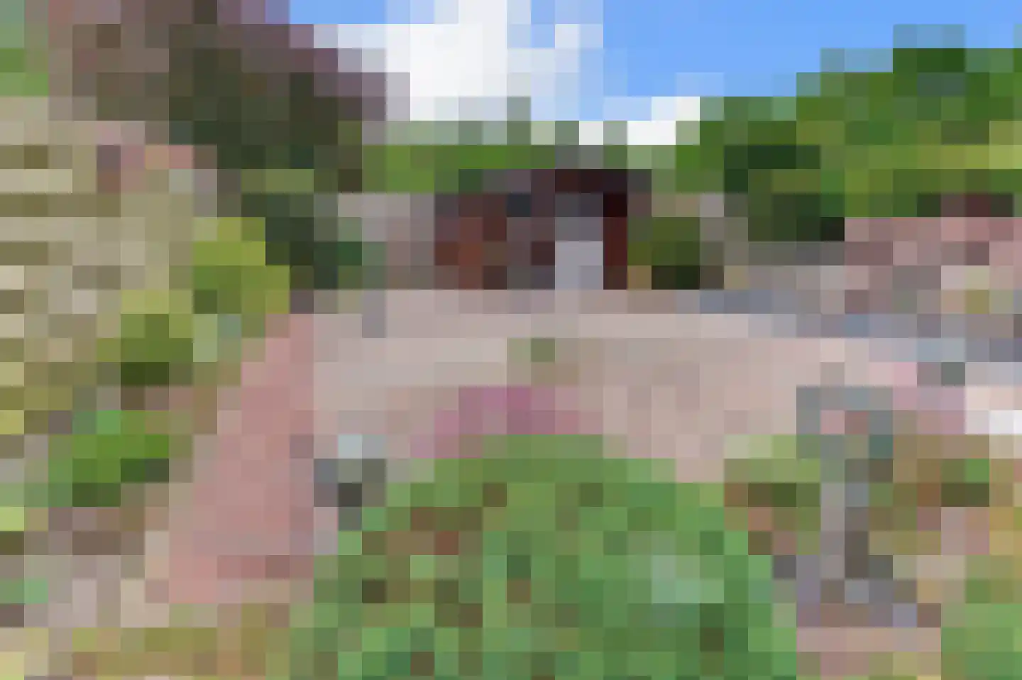Broeklaan 32 Harderwijk thumbnail 40