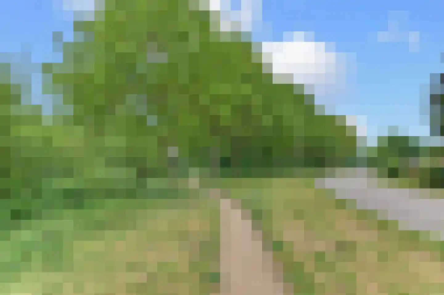 Broeklaan 32 Harderwijk thumbnail 49