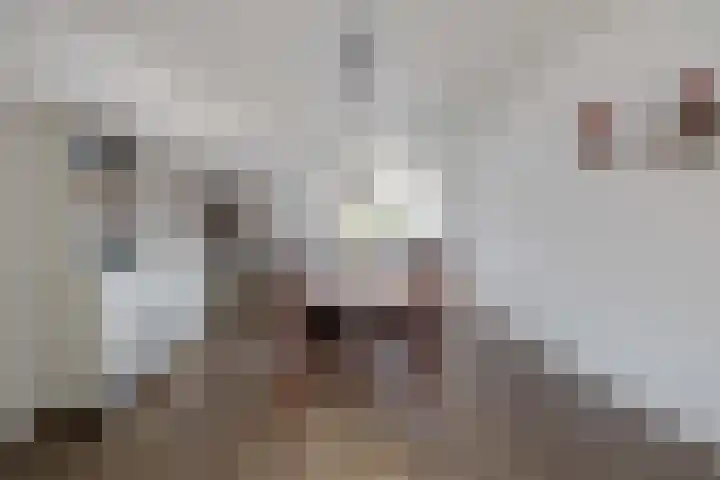 Broeklaan 55 Tegelen thumbnail 5