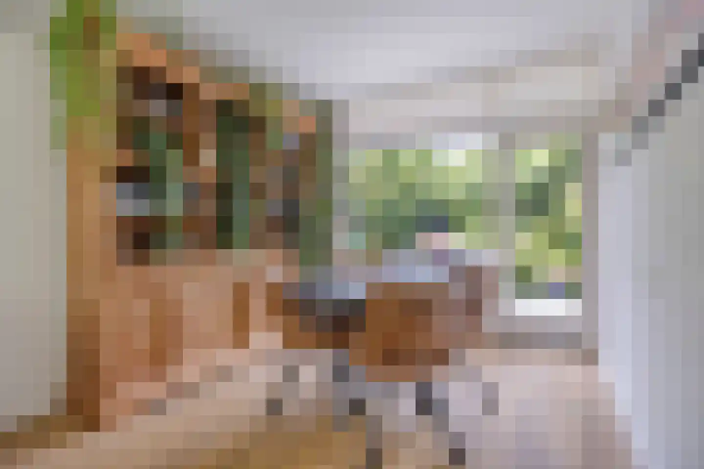 Broeklaan 68 Assen thumbnail 15