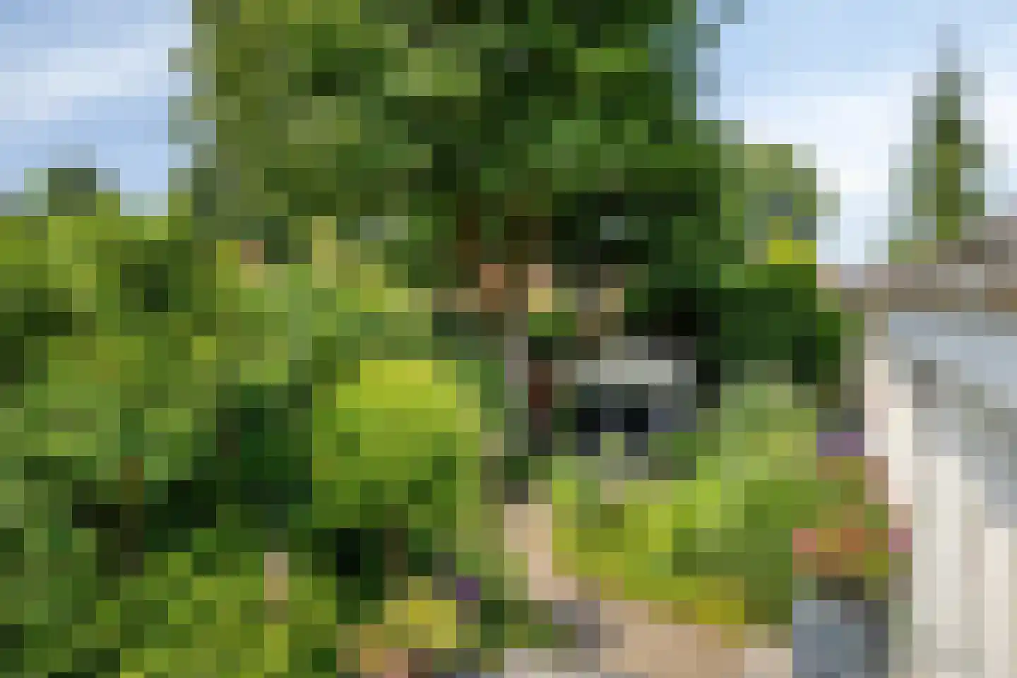 Broeklaan 68 Assen thumbnail 34