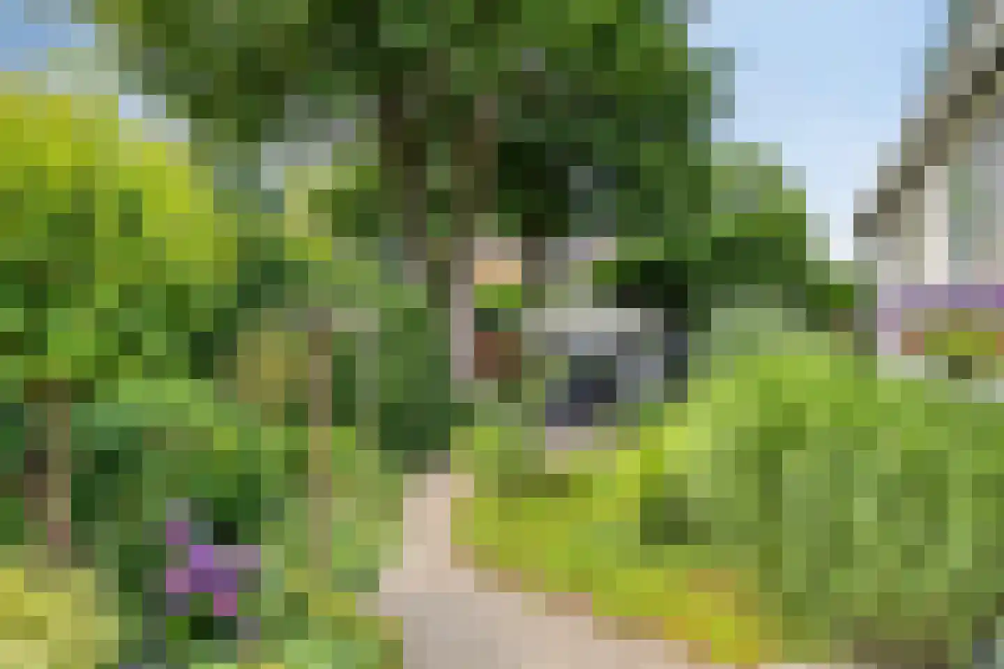 Broeklaan 68 Assen thumbnail 35